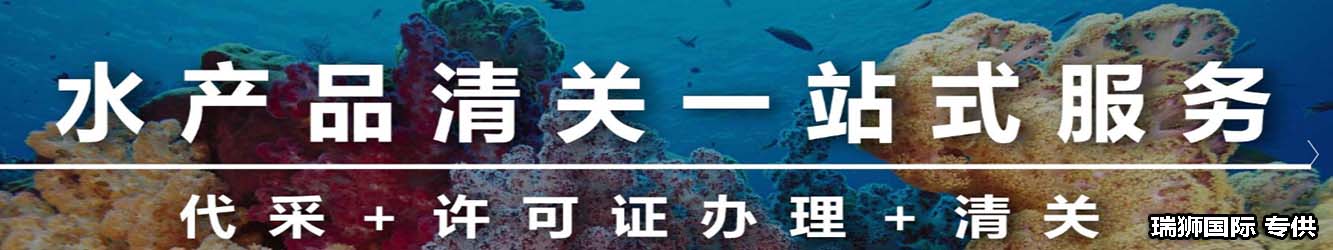 什么是冷藏集裝箱 冷藏集裝箱(Reefer Container) 規(guī)格參數(shù) 冷凍柜注意事項 冷藏車運輸要求